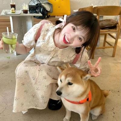 逐浪之夏